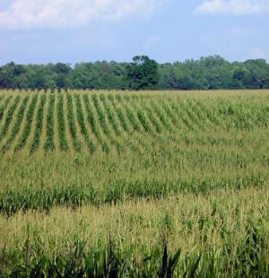 Agricultura abre la convocatoria de ayudas agroambientales para el año 2011