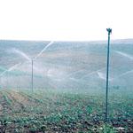 Agricultura financia las nuevas instalaciones de riego para dinamizar la zona de la Axarquía