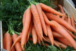 Agricultura prevé menores cosechas de coliflor, brócoli, zanahoria y puerro