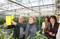 Aguilera aplaude la apuesta de Primaflor por incorporar nuevas tecnologías a los cultivos