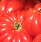 El consumo zumo de tomate protege la piel de las radiaciones ultravioletas