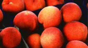 España reclama un mayor incremento de los precios de retirada de los melocotones y las nectarinas