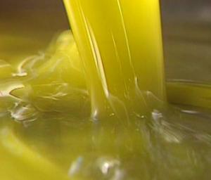 Firmeza en los precios del aceite de oliva virgen extra de la nueva campaña