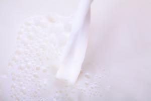 La espera define la situación del sector lácteo en el Día Mundial de la Leche