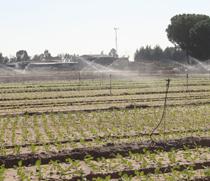 Agricultura apoya con 10,5 millones dos proyectos de mejora de regadíos en Jaén y Granada