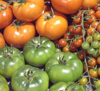 Aguilera apuesta por una política europea específica para el sector de frutas y hortalizas