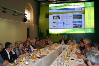 Aguilera participa en el foro-debate de Efeagro sobre el futuro del sector oleícola