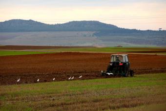 Aguilera rechaza que se aborde ahora una reforma "profunda" de la PAC que afecta a todos los sectores agrarios