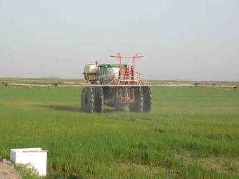 Aprobado el reglamento que establece los requisitos para la Producción Integrada de arroz