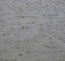 COAG avisa de que hasta el 20 de julio se pueden pedir las ayudas por los daños provocados por las lluvias