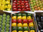 COAG denuncia una crisis estructural de precios en el sector hortofrutícola
