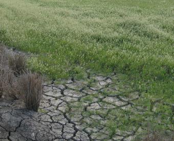 El 37% del territorio español está en peligro de desertificación