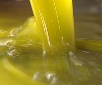 El Consejo Oleícola Internacional prevé la segunda mayor producción mundial de aceite de oliva de la historia