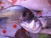 El FROM patrocina la "Guía de Fedepesca del consumo responsable de pescado" para usuarios