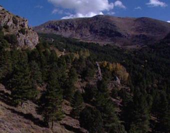 El Gobierno andaluz concede 1,9 millones para fomentar el desarrollo sostenible en Sierra Nevada
