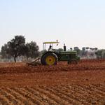 El MARM reparte 262,2 millones de euros entre las comunidades autónomas para programas agrícolas, ganaderos, agroalimentarios y