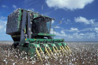 El Plan de reestructuración para desmotadoras de algodón se aprobó con consenso del sector