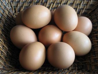 El Precio de los huevos en origen sube un 8,4 % en las primeras semanas de 2012