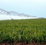 El Secretario de Estado de Medio Rural y Agua ha destacado el papel de los regadíos en la consolidación de un sector agroalimen
