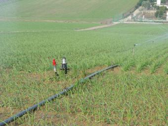 El sector agrario pide más impulso para el regadío en el Día Mundial del Agua