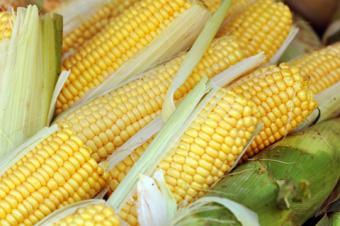 El USDA reduce de nuevo la previsión de la cosecha mundial de maíz por la caída en EE.UU.