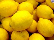 España produjo 673.000 toneladas de limón en la campaña 2009/2010, un nivel "bajo" según Ailimpo