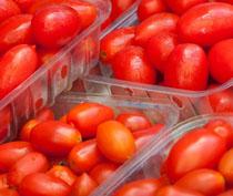 Exportadores urgen a Bruselas que reforme el sistema de precios de entrada del tomate a la UE