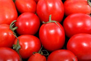 Faeca prevé un descenso cercano al 30% en la producción del tomate industrial