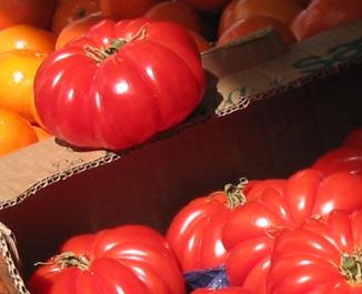 Hortyfruta pide que se defienda el tomate español frente al ataque de la Comisión Europea