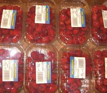 Huelva, principal productor nacional de frutos rojos, con 9.000 toneladas