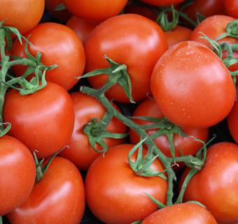 Investigan un nuevo alérgeno en la piel del tomate
