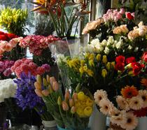 La crisis provoca una caída superior al 60 por ciento en la compra de flores