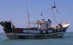 La Eurocámara aprueba un acuerdo internacional contra la pesca ilegal