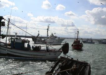 La Junta informa sobre las ayudas para optimizar el uso de combustible en la flota pesquera