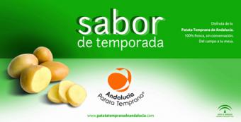 La Patata Temprana de Andalucía se presenta en los principales mercados