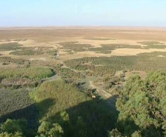 La propuesta de ampliación de la Reserva de la Biosfera de Doñana, objeto de examen por la Unesco