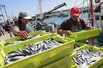 La Secretaría General del Mar aborda con el sector pesquero el abanico de posibilidades del envasado de los productos pesqueros