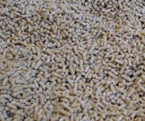 Los fabricantes de pienso dicen que han tenido poco margen para aguantar la subida de los cereales
