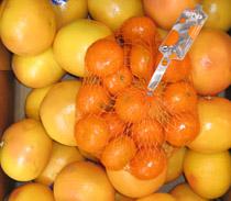 Los precios de los limones y las naranjas se dispararon en septiembre