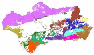 Medio Ambiente elabora mapas al detalle de la superficie forestal andaluza